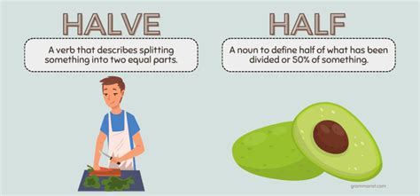 halving meaning in english